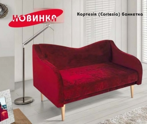 Диван "Кортезия" — купить по недорогой цене в Украине: Днепр | «Мир Мебели»