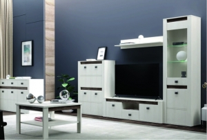 Модульная система "Селена" (гостиная) — купить по недорогой цене в Украине: Днепр | «Мир Мебели»