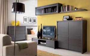 Модульная система "Каспиан" (гостиная) — купить по недорогой цене в Украине: Днепр | «Мир Мебели»