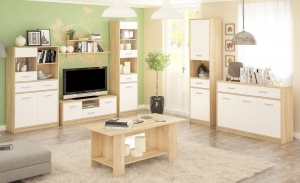 Модульная система "Типс" (гостинная-1) — купить по недорогой цене в Украине: Днепр | «Мир Мебели»