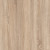 Sonoma oak