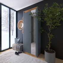Closed Cabinet "Nordic" 800