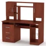 Computer Desk “Manager”