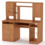 Computer Desk “Manager”