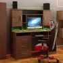 Computer Desk “Manager”