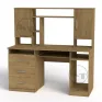 Computer Desk “Manager”