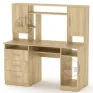 Computer Desk “Manager”