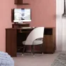 SU-1 computer desk