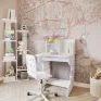 "Baby-2" Writing Desk