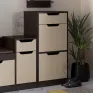 TO-11 shoe cabinet