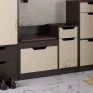 TO-12 shoe cabinet
