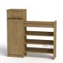 TO-16 shoe cabinet