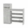 TO-16 shoe cabinet