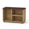 TO-18 shoe cabinet