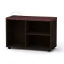 TO-18 shoe cabinet