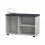 TO-18 shoe cabinet