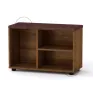 TO-18 shoe cabinet