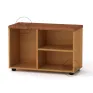 TO-18 shoe cabinet