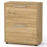 TO-19 shoe cabinet