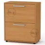 TO-19 shoe cabinet