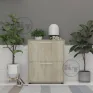 TO-19 shoe cabinet
