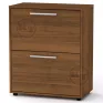 TO-19 shoe cabinet