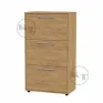 TO-20 shoe cabinet