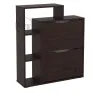 TO-21 shoe cabinet
