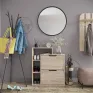 TO-21 shoe cabinet