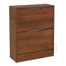 TO-22 shoe cabinet