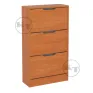 TO-23 shoe cabinet