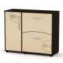 TO-5 shoe cabinet
