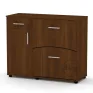TO-5 shoe cabinet