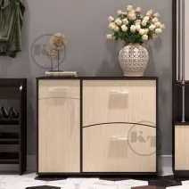 TO-5 shoe cabinet
