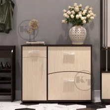 TO-5 shoe cabinet