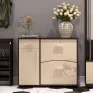 TO-5 shoe cabinet