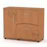 TO-5 shoe cabinet