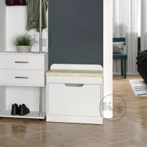 TO-8 shoe cabinet