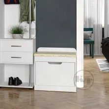 TO-8 shoe cabinet