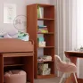 Книжкова шафа КШ-1
