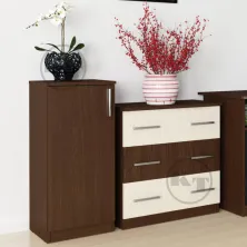 KSh-18 Bookcase