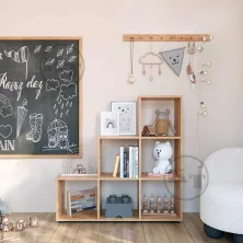 KSh-19 Bookcase