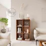 KSh-21 Bookcase