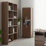 KSh-5 Bookcase