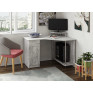 Computer desk "Atlant"