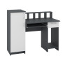 Computer Desk "Paralel"