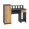 Computer Desk "Paralel"