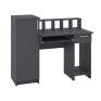 Computer Desk "Paralel"