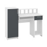 Computer Desk "Paralel"