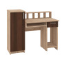 Computer Desk "Paralel"